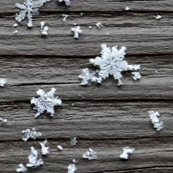 Profile Picture of Dawn Evans (@dawnrevans01) on Poshmark