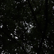 Profile Picture of Ian Parker (@IanParker2) on Youtube