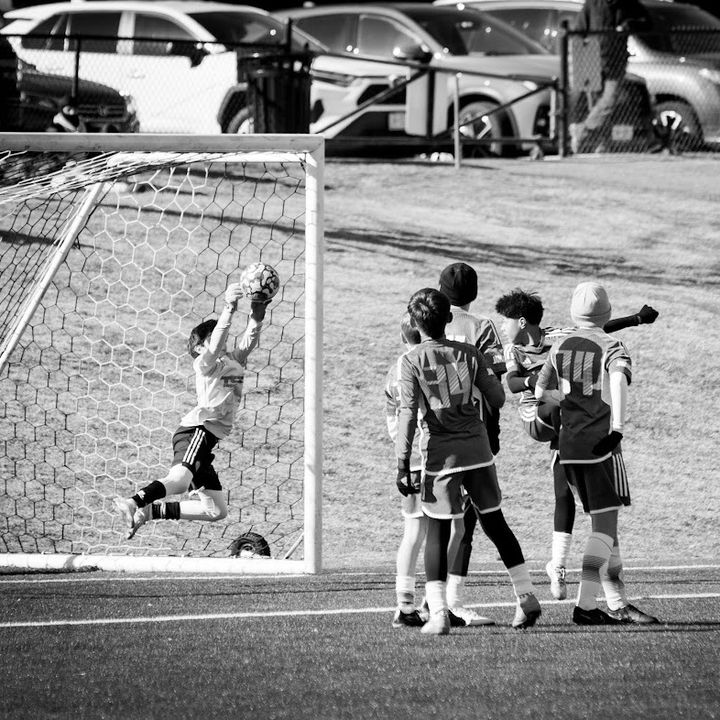 Profile Picture of Matthew Vasselli (@matthewvasselli) on Tiktok