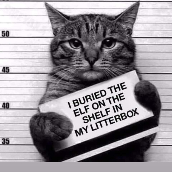 Theresa Bossio - Poshmark Profile Picture of Theresa Bossio (@tmk7707) on Poshmark