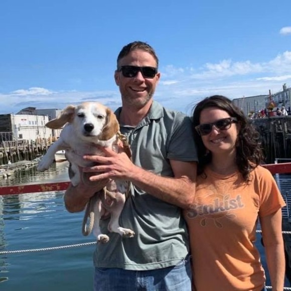 Profile Picture of Jeremy Larochelle (@jerdog8) on Poshmark