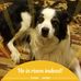 Profile Picture of Karee Gardner (Kareeg) (@karee.gardner.73) on Facebook