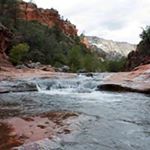 Profile Picture of Linnette Williams Giles (@lgiles3) on Instagram