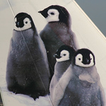 Profile Picture of TERRY WADE (@Terry Wade Aviation Photography) on Flickr