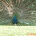 Profile Picture of Peter Byrd (@peter.byrd.39) on Facebook