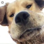 Profile Picture of Darrell Grant (@klass_act55) on Instagram