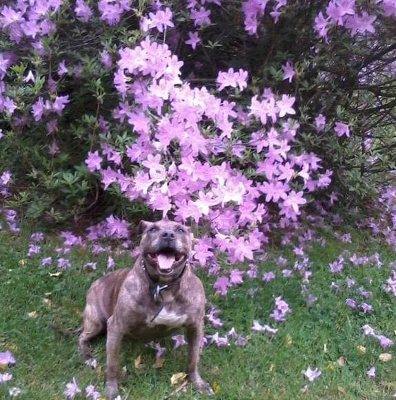 Profile Picture of Denise Polly-joseph (@denisejoseph1) on Poshmark