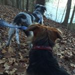 Profile Picture of Andrew Bardsley (@adb_uk) on Instagram