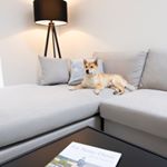 Profile Picture of La Cachette Dans Le Verger (@lacachettedansleverger) on Instagram