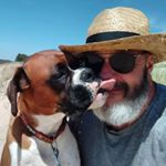 Mike & Chester (beachdog) - Instagram Profile Picture of Mike & Chester (beachdog) (@travelswithchester) on Instagram