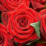 Profile Picture of Hafsa Mohamed (@hafsa.mohamed.357) on Instagram