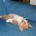 Profile Picture of John Del Bacani (@johndel.b) on Instagram