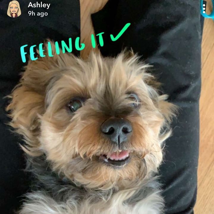 Profile Picture of Claire Stack (@clairestack) on Tiktok