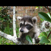 Profile Picture of Jazmine Wade (@jazminewade4511) on Youtube