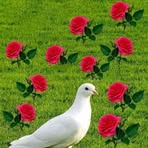 Profile Picture of Baari Adam (@Baari-Adam) on Facebook