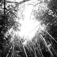 Profile Picture of Jason Barna (@jason-barna-3) on Quora