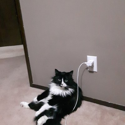 Profile Picture of Kara Felix (@karafelix89) on Twitter