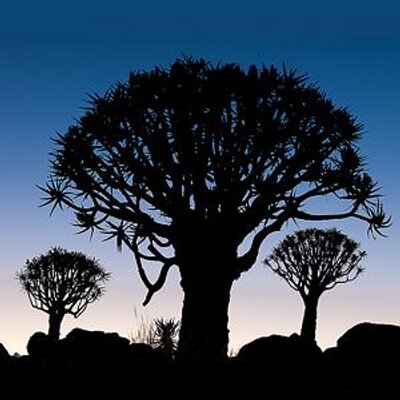 Profile Picture of Rafael Rojas (@rafarojasphoto) on Twitter