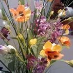 Profile Picture of Marie Serette Daniel (@marieserettedaniel) on Instagram