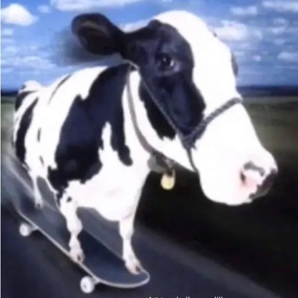 Profile Picture of Andrew Smalley (@vwaudirox) on Poshmark