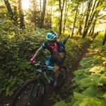 Profile Picture of david m tisch (@davidmtisch) on Instagram