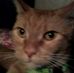 Profile Picture of James Kettering (@james.kettering.90) on Facebook