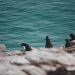 Profile Picture of Ed Cooper (@edcooperphotography) on Instagram