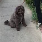 Profile Picture of John Ruster (@john.ruster.2025) on Facebook