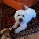 Profile Picture of Nany Da Soller (@nanydasoller) on Instagram