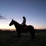 Profile Picture of Clara Romero (@clara_horseriding) on Instagram