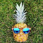 Profile Picture of Haley O'Reilly (@lularoehaleyoreilly) on Instagram