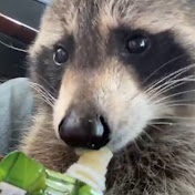 Profile Picture of Robert Bowen (@robertbowen6839) on Youtube