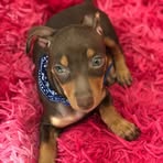 Profile Picture of Kimoy Suarez Ku (@kimoy.suarezku.5) on Facebook