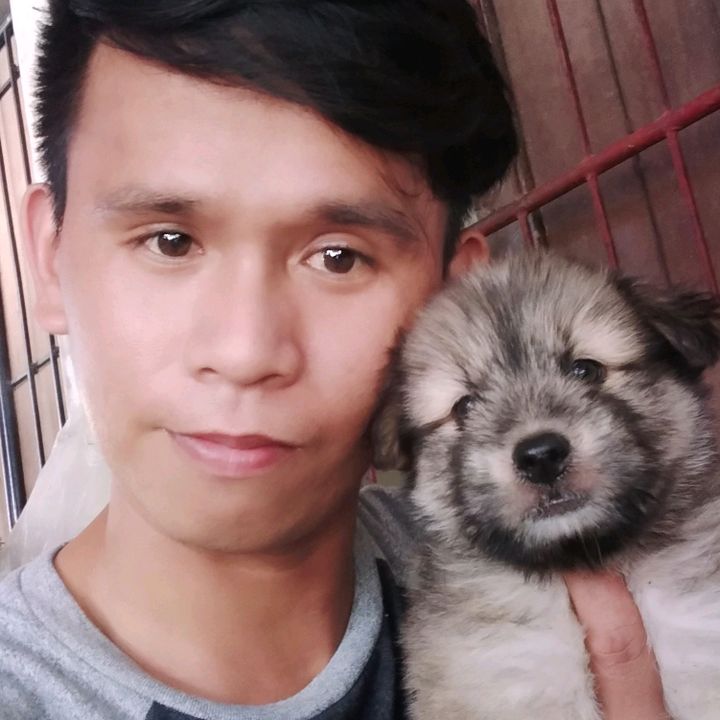 Profile Picture of user5947023650548 (@argobobby) on Tiktok