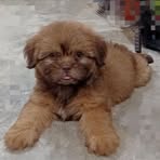 Profile Picture of Cindy Sparrow (@Cindy-Sparrow) on Facebook