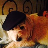 Profile Picture of Richard Fenton (@richard-fenton-21) on Quora