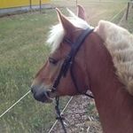 Profile Picture of Jessy Schramm (@jessy.schramm) on Instagram