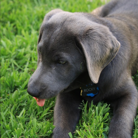 Profile Picture of Emily Andrews (@eroseand) on Poshmark