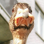 Profile Picture of CoolOldSkool (@CoolOldSkool) on Flickr