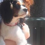 Cheri Craig - Instagram Profile Picture of Cheri Craig (@cheri_craig) on Instagram