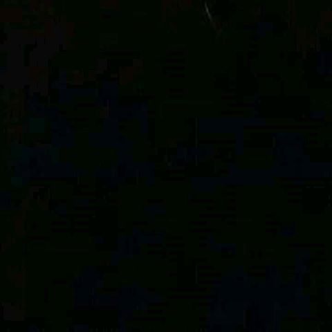 Profile Picture of tommyrayburn (@tommyrayburn) on Tiktok