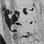 Profile Picture of Kreseback (@kreseback) on Flickr