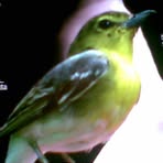 Profile Picture of Eugenea Beneth (@eugenea.beneth) on Facebook