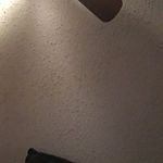 Profile Picture of rexthrasher (@rexthrasher) on Instagram