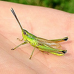 Profile Picture of Lars Hillebrecht (@larshillebrecht) on Flickr