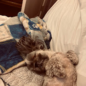 Profile Picture of Yolanda Cuevas (@YolandaCuevas-z7g) on Youtube