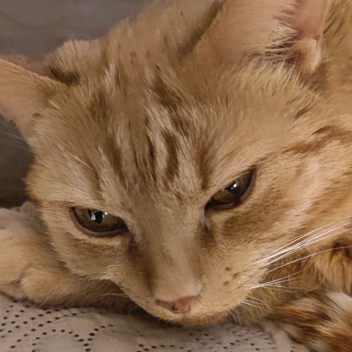 Profile Picture of Scott Lamons (@scottlamons465) on Tiktok