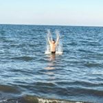 Profile Picture of Ayhan Uzun (@ayhanzun.1) on Instagram