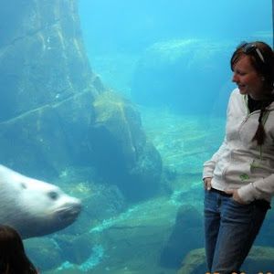 Profile Picture of katelynnhanson (@katelynnhanson) on Tiktok