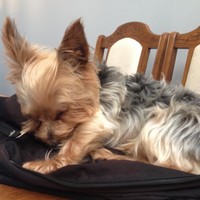 Profile Picture of Crystal Ko (@crystal-ko-2) on Quora